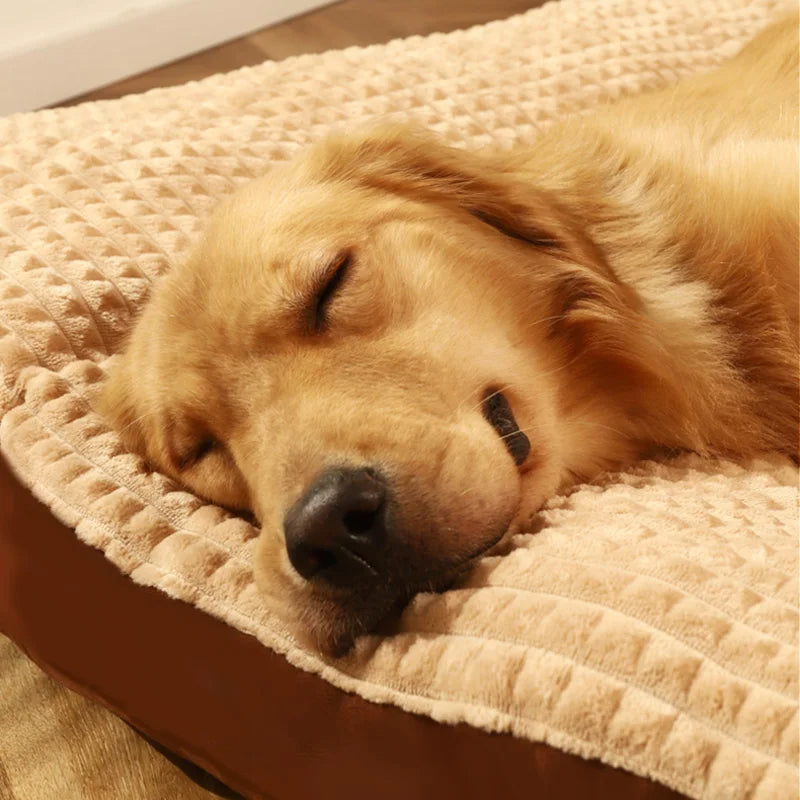 ComfyCanine Hundbädd | Fast Stöd Plysj Komfort